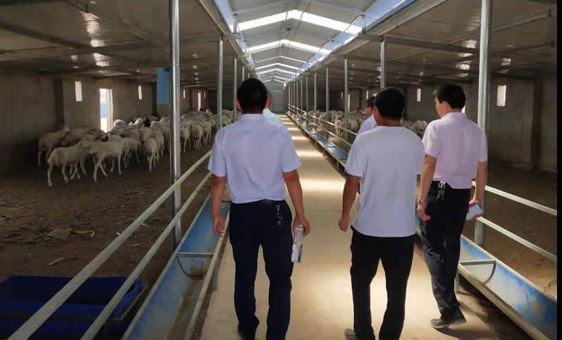 甘肅金控武威擔保公司與農業(yè)銀行古浪縣支行聯合開展項目保后檢查